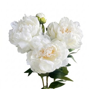 BloomLife 조화 작약꽃 3송이 세트 68cm 대형 꽃 인테리어 장식 조화꽃 플라워 모란, 1개, 화이트