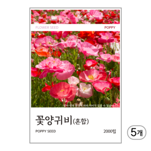 꽃양귀비(혼합) 씨앗 2000립, 5개