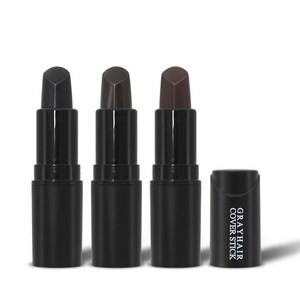 모에타 흰머리닷컴 새치커버스틱 3.5g, 흑색, 6개