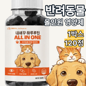 쌩쌩연구소 내새꾸 울애기 하루루틴 강아지간식 유산균 관절 기관지 영양제 고양이, 1개, 종합영양제, 120정
