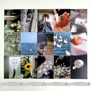 옐상 감성 y2k 엽서 세트 3종, 1팩, 토마토