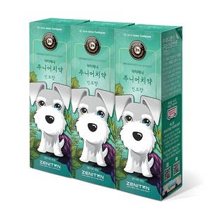 제니튼 주니어 치약 민트향, 60g, 3개입, 1개