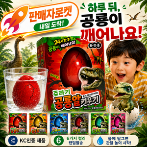 아오어 공룡알 키우기 부화 세트 어린이집 유치원 단체 선물 랜덤발송, 1개