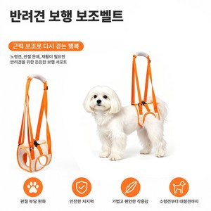 리커전 노령견 재활 뒷다리 앞다리 보조 하네스, 1개, 오렌지