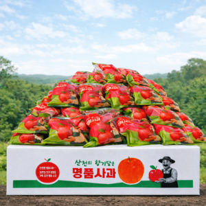 고당도선별 세척사과 껍질째먹는 꿀사과, 1박스, 5kg 골드박스 특가