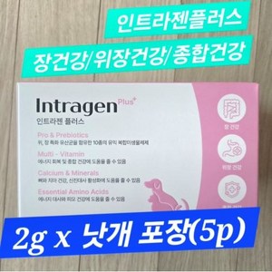 [인트라젠] 장염 설사 구토 변비 면역력강화 유산균 영양제 강아지 고양이 햄스터, 60g, 장건강/유산균, 1세트