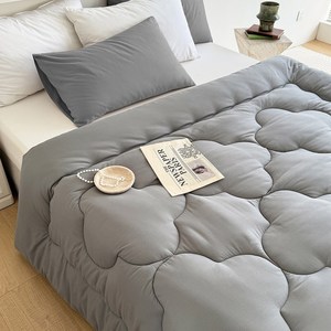 Cozy Aura 부드러운 겨울 이불 두꺼운 호텔 차렵이불