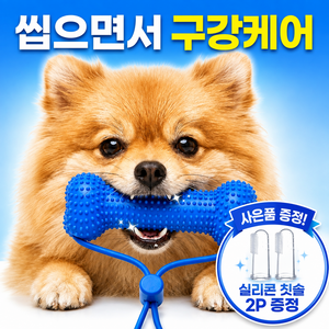 린퓨스트 강아지 덴탈토이 구강케어 치아관리 치석제거 이갈이 장난감 칫솔증정, 1개, 덴탈 블루