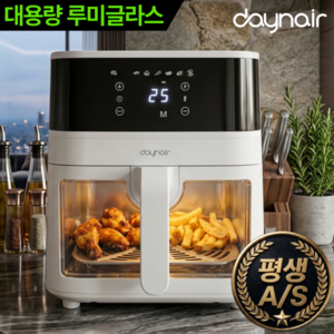 [하이엔드] 데이앤에어 대용량 에어프라이어 저소음 에어프라이기 5L, 모던화이트, PRO 모델