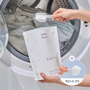 생활공작소 강력 얼룩제거 흰옷 표백제 (계량 스푼 포함), 1kg, 1개