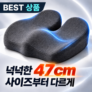 루티 치질방석 꼬리뼈 메모리폼 자세교정 방석, 차콜