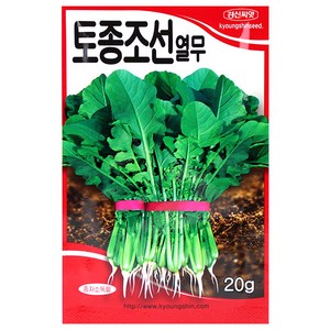 세인화분 토종 조선 열무 20g - 씨 씨앗 열무씨 열무씨앗 채소 야채, 1개