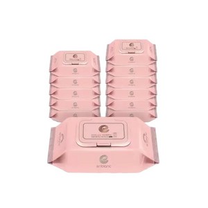 앙블랑 세이프 인디핑크 유아물티슈 휴대캡형, 63g, 20매, 12개
