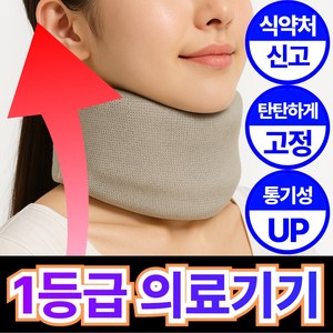 자세명가 고밀도폼 프리미엄 목 보호대 H90, 1개