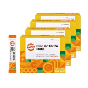 광동 비타500 데일리 메가 비타민C 3000 고함량 비타민c, 4개, 270g