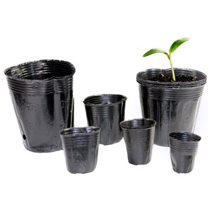 비닐컵포트 모종 식물재배용화분, 200개, 블랙