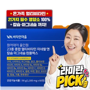 비타민마을 원어데이 올인원 23종 종합 멀티비타민 미네랄 앤 칼슘 마그네슘 컴플렉스, 1개, 60정