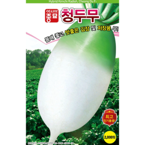 아시아종묘 청두무 씨앗 2000p, 1개