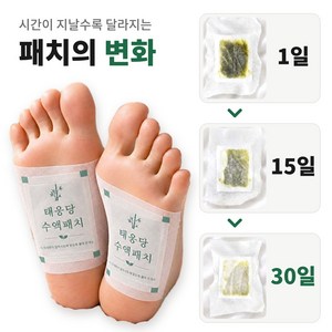 하루마감 발바닥 패치 발패치 목초수액시트 대용량, 1박스, 100개입