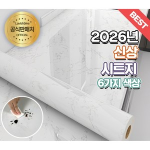 라비쉬바인 붙이는 오염방지 타일 방수 데코 대리석 주방 시트지, F