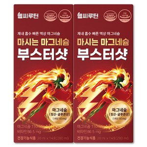 헬씨루틴 젖산 마그네슘 식약청 인증 마시는 액상 영양제, 2개, 14회분