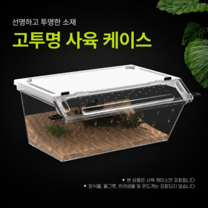 투명 통풍형 파충류 사육장 도마뱀 사육통 곤충 사육통 파충류 케이스 관찰 케이스, 1개, 대형 직사각 화이트