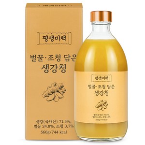 평생비책 천연벌꿀 조청 국산 생강청 원액 100% 무설탕 생강차, 1세트, 1개입, 560g