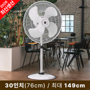 대웅 공업용 업소용 대형 선풍기 76cm(30인치), DW-IDF2530
