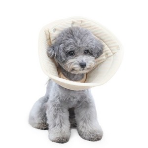 개놀자 펜타곤 넥카라 오트밀 S, 52g, 1개