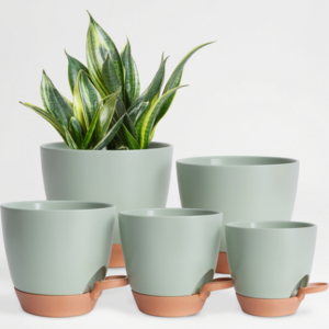 유토피아홈 저면관수 화분 중형 세트, 5개, 그린