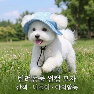 융풍 반려동물 썬캡 모자 강아지 고양이 여름 산책 햇빛가리개 조절끈, 1개, 라이트블루