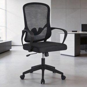 Takata 사무실 의자 공부 자세교정 허리받침 컴퓨터 메쉬 사무용 의자 WY10, 블랙
