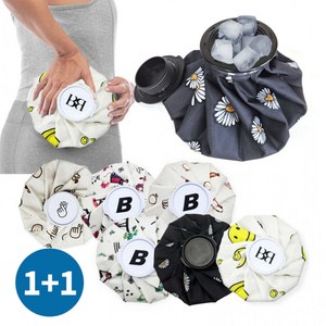 브렌스 휴대용 골프 얼음 주머니 물주머니 아이스팩 1+1 쿨팩 냉 온찜질 20~22cm 중 사이즈, APPLE