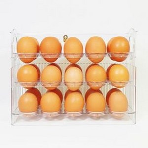 국산 자동오픈 냉장고 정리용 30구 계란 보관 트레이 계란함 이지엔프레쉬 / 국내 생산, 1개