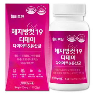헬씨루틴 체지방컷 19 디데이 다이어트 유산균, 1개, 120정