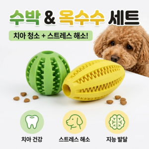 강아지 노즈워크 스낵볼 간식볼 이갈이 장난감, 1세트, 옐로우+그린