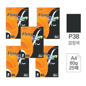 색상지 플라잉칼라(P38.검정색/A4/80g/25매)X5권입, 1팩, A4