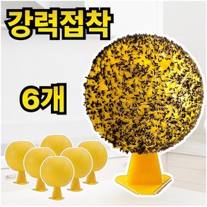 라워스 강력접착 초파리 트랩 끈끈이, 6개, 35g