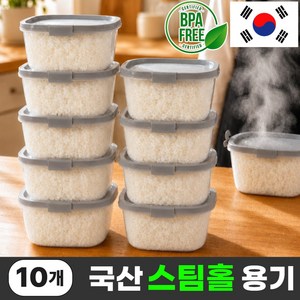 토비츠 스팀홀 전자레인지 용기 냉동밥 소분 국산 젖병소재, 10개, 500ml