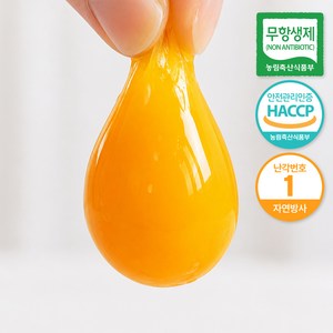 삼초마을 난각번호1번 계란 자연방사 유정란 무항생제, 20구, 3개 골드박스 특가