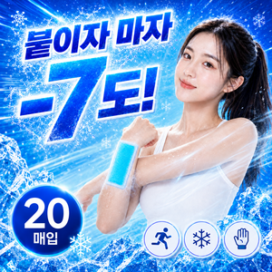 라온리코 폭풍쿨링 붙이는 아이스 쿨패치 냉각 쿨링시트, 20개