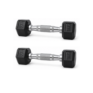 드래곤핏 홈짐 PEV 헥사곤 헬스장 육각 아령, 2개, 1kg