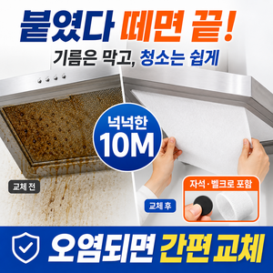 엘뉴본 초간편착붙 렌지 후드필터 10M 주방 후드커버 기름흡착 벨크로 자석, 1개