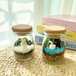 비단이끼 테라리움 키트 diy 키트 원예 치료 미술 단체, 1.토끼 비단이끼 테라리움, 1개