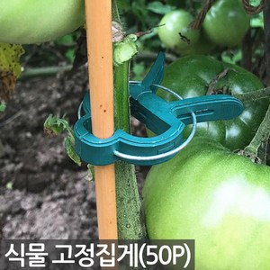 세인화분 식물 화분 고정 집게 50P - 혼합형, Sein_식물고정집게 혼합형(50P), 50개