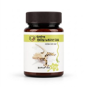 한방애 파충류 칼슘제 귀뚜라미 더스팅 게코 도마뱀 칼슘, 1개, 50g