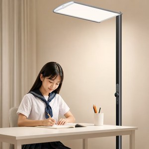 GONEO 블루라이트차단 눈피로감소 학습 사무용 플로어라이트 스마트조명, 블랙