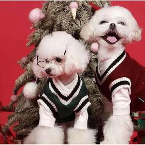 멍이냥이 강아지 니트 베스트 반려동물 애견 외출복 조끼 스웨터 가디건, 레드, 1개
