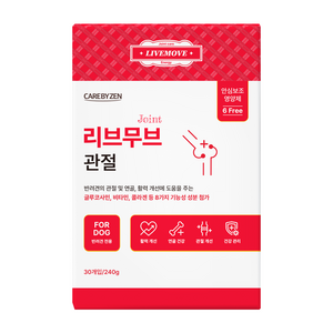 케어바이젠 강아지 대용량 트릿 (소화), 1박스, 240g
