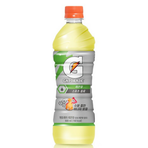 게토레이 레몬, 600ml, 1개